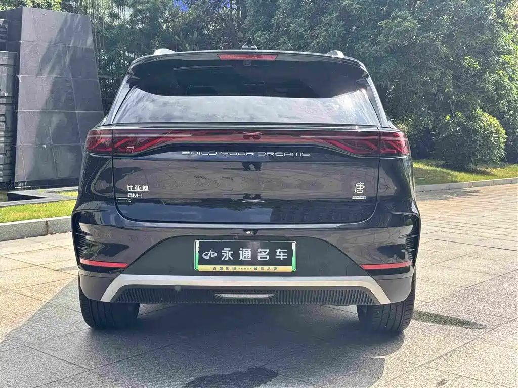 BYD Tang New Energy 2025 — фото 16