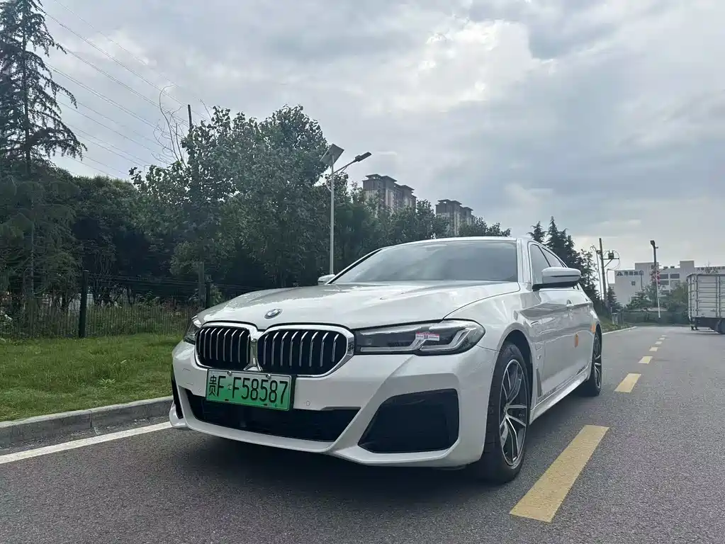 BMW 5 Series New Energy 2021 — фото 1