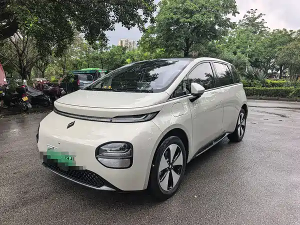 Baojun Yunduo 2024