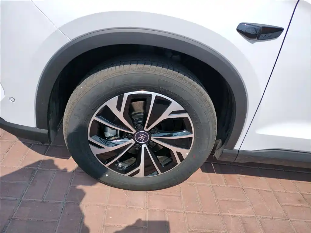BYD Pro New Energy 2025 — фото 23