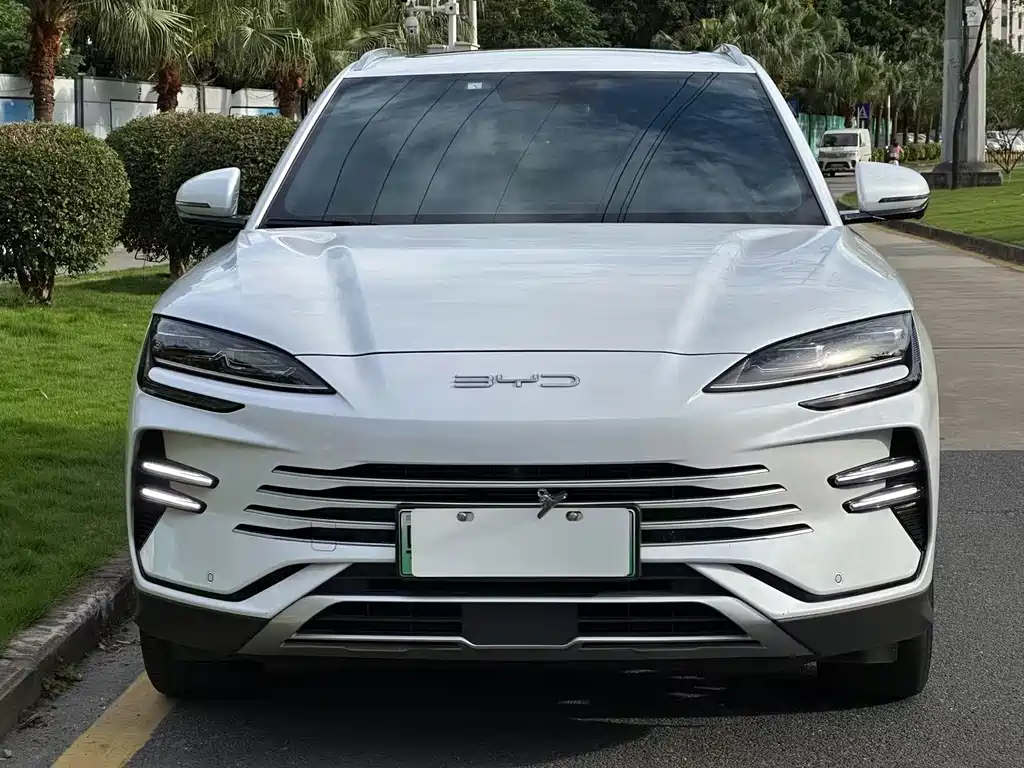 BYD PLUS New Energy 2023 — фото 1