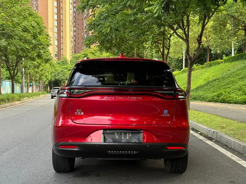 BYD Tang New Energy 2019 — фото 11