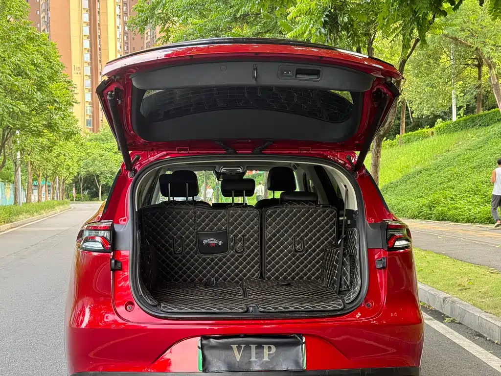 BYD Tang New Energy 2019 — фото 13