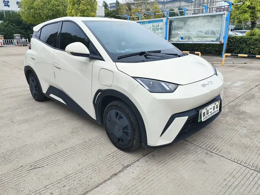 BYD Seagull 2024