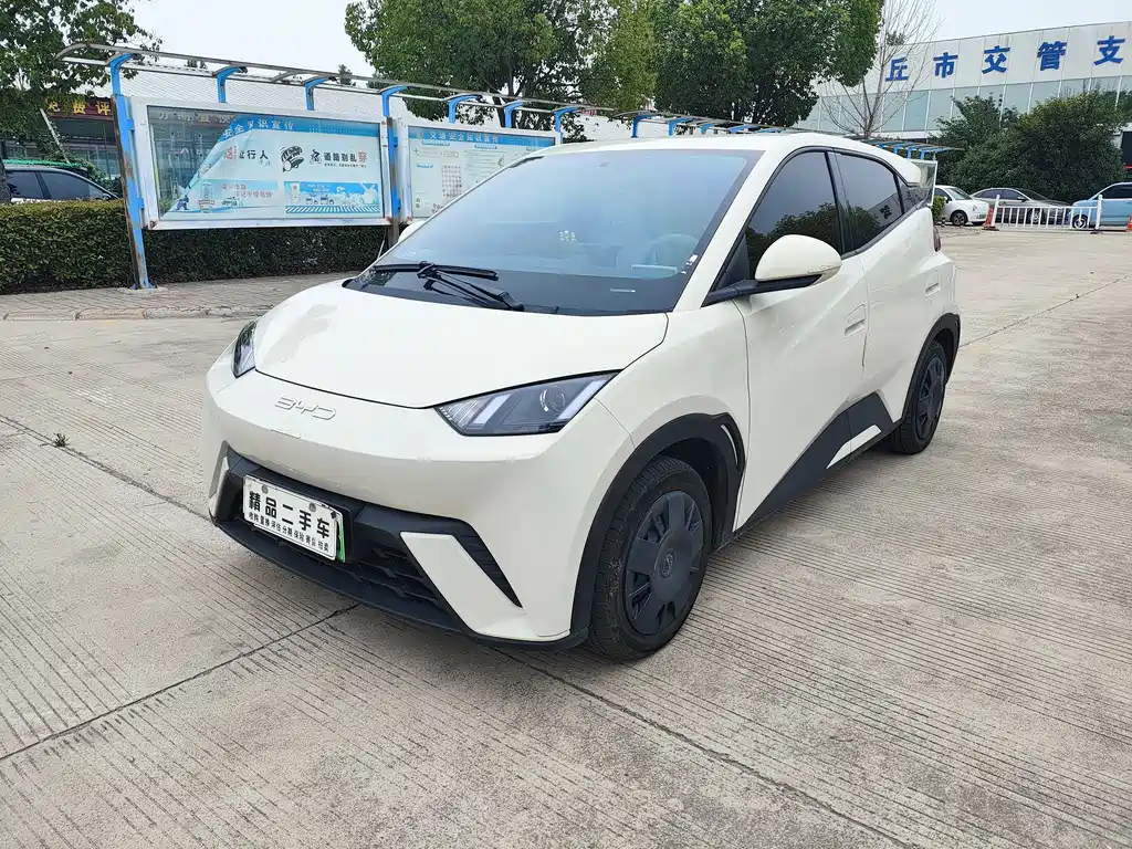 BYD Seagull 2024