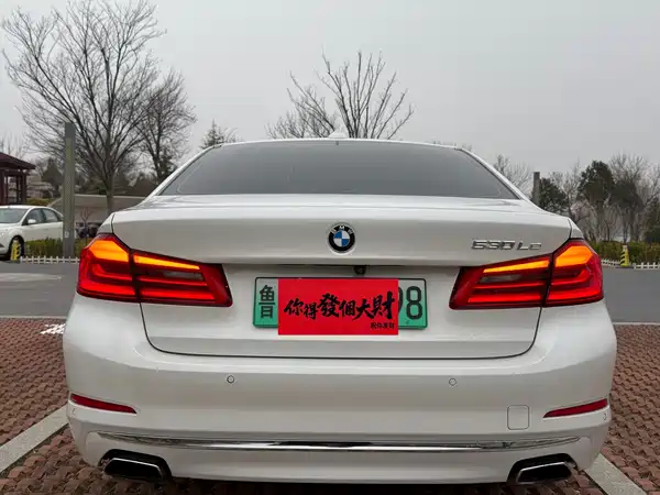 BMW 5 Series New Energy 2019