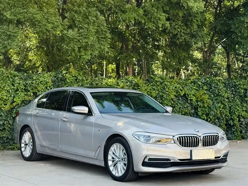BMW 5 Series 2019
