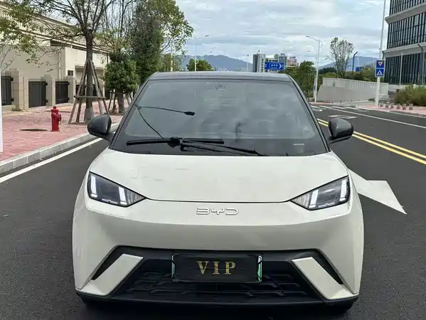 BYD Seagull 2024
