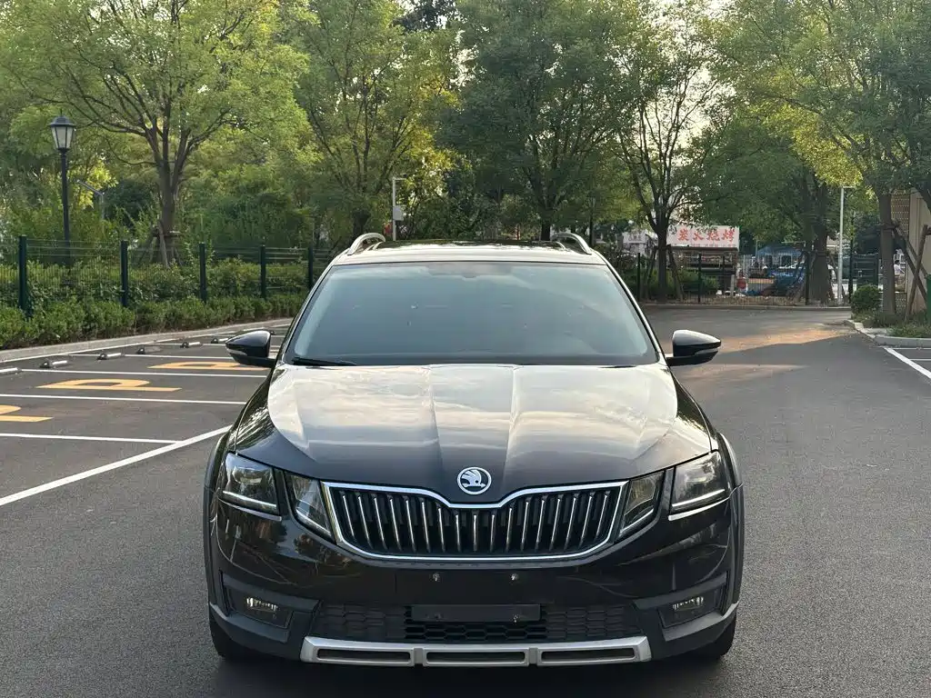 Skoda Octavia 2019 — фото 1