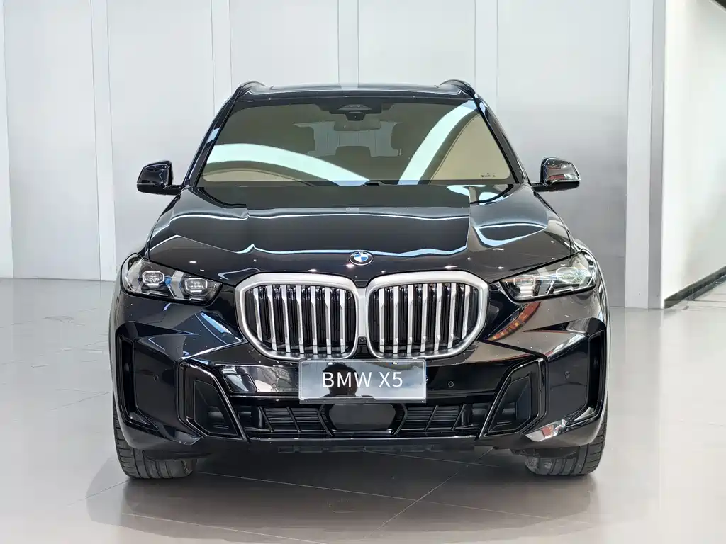 BMW X5 2024