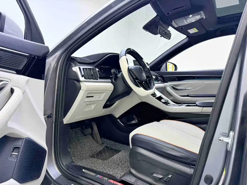 BYD PLUS New Energy 2022 — фото 4