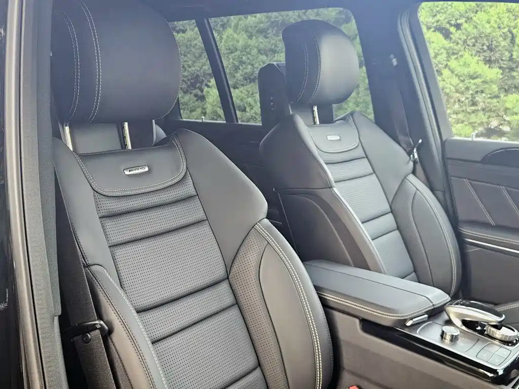 Mercedes-Benz GLS AMG 2017 — фото 12