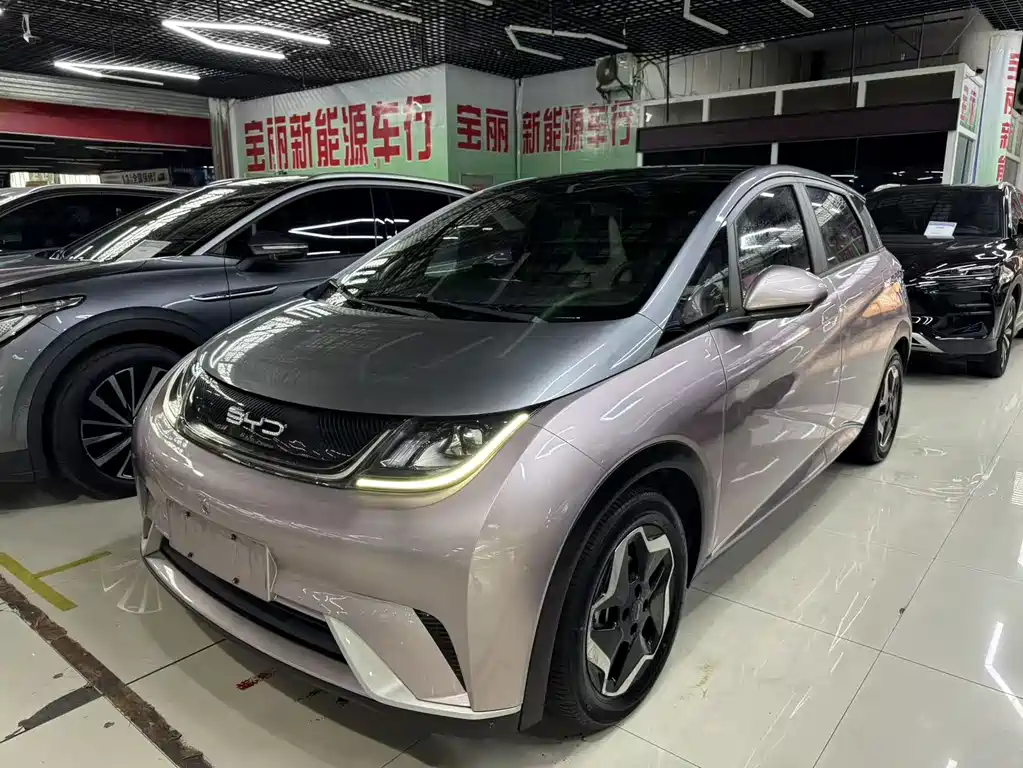 BYD Dolphin 2022