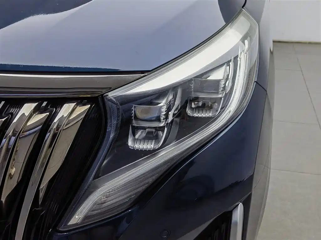 GAC Motor Trumpchi M8 2020 — фото 7