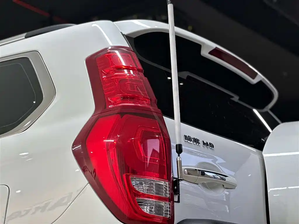Haval H9 2021 — фото 13