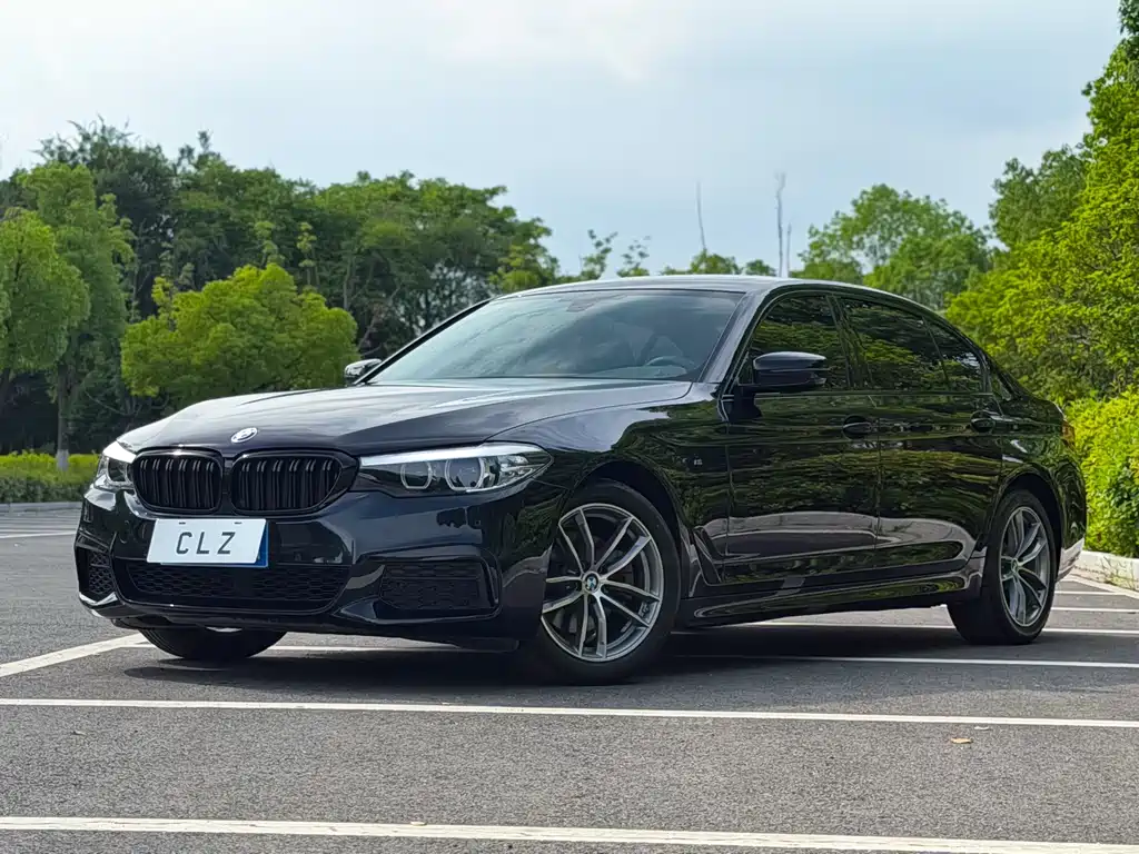 BMW 5 Series 2020