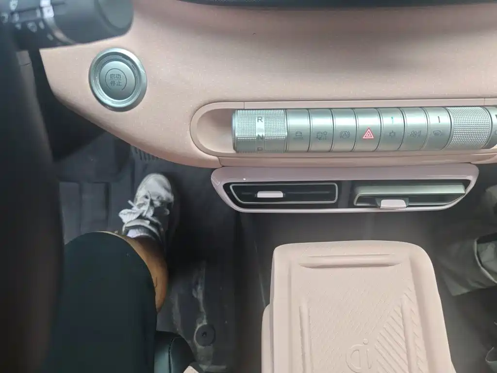 BYD Seagull 2024