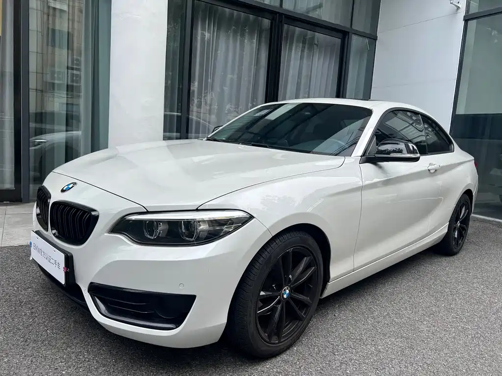 BMW 2 Series 2019