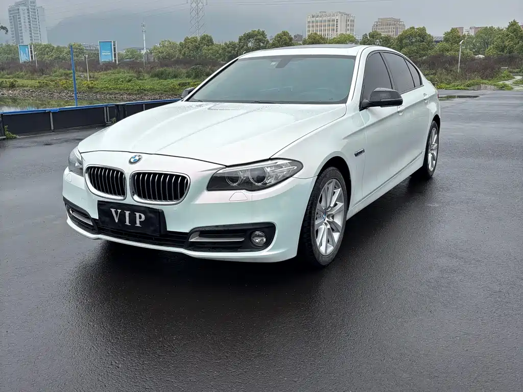 BMW 5 Series 2014 — фото 2