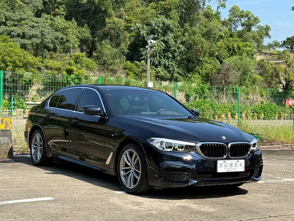 BMW 5 Series 2020