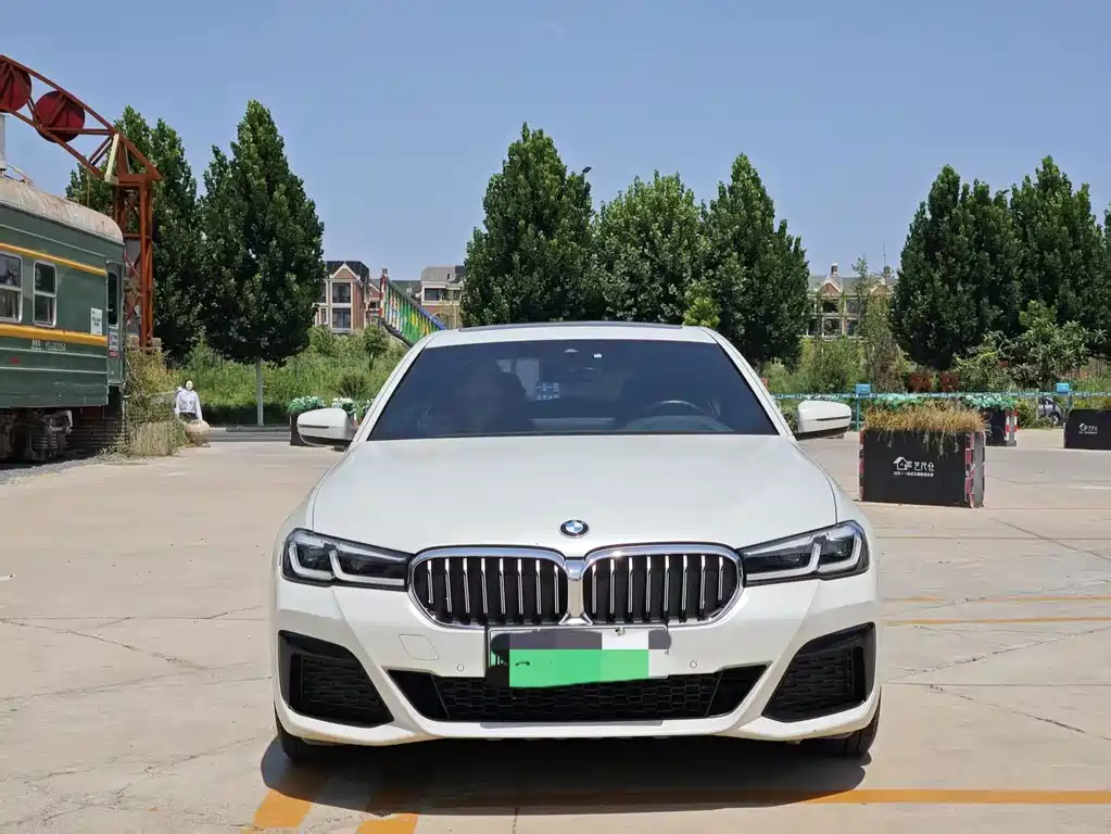 BMW 5 Series New Energy 2021
