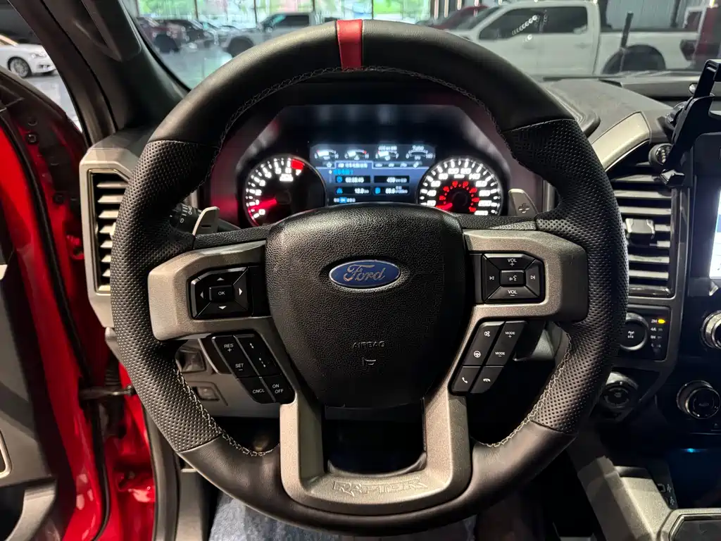 Ford F-150 Raptor 2019 — фото 14