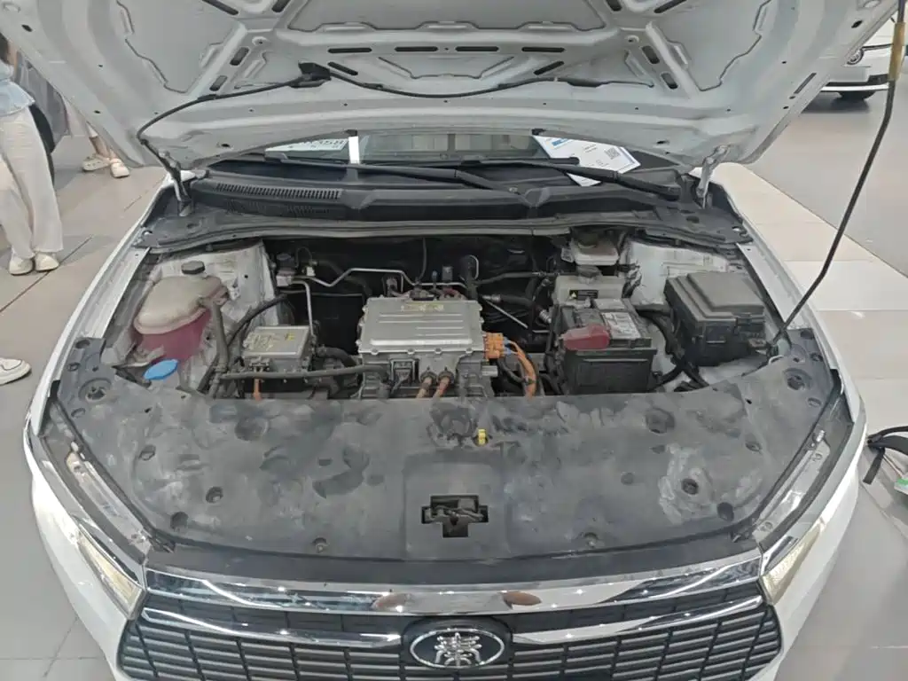 BYD Qin NEV 2024 — фото 20
