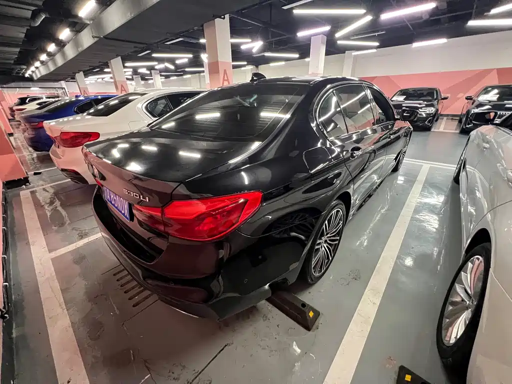 BMW 5 Series 2018 — фото 9
