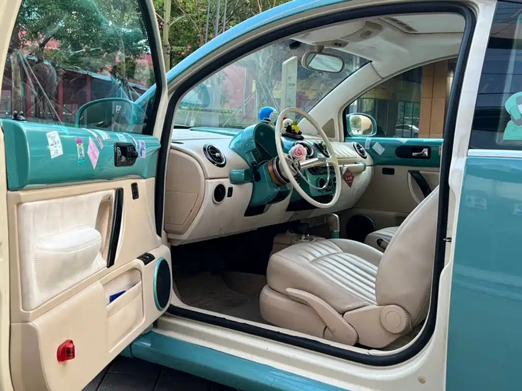 Volkswagen Beetle 2010