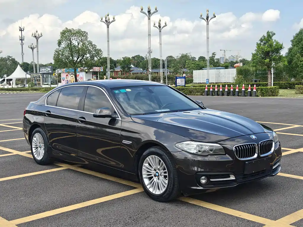 BMW 5 Series 2014 — фото 3