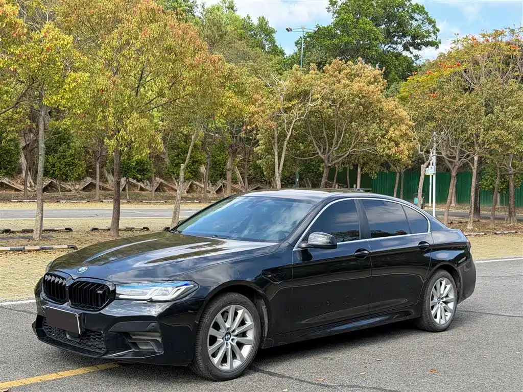 BMW 5 Series 2013 — фото 1