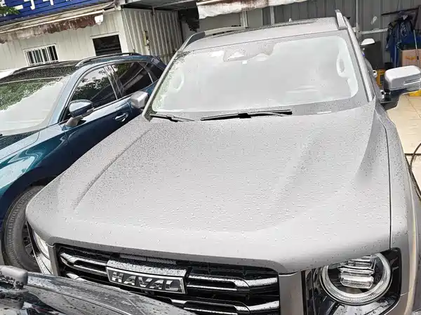 Haval Dargo 2021