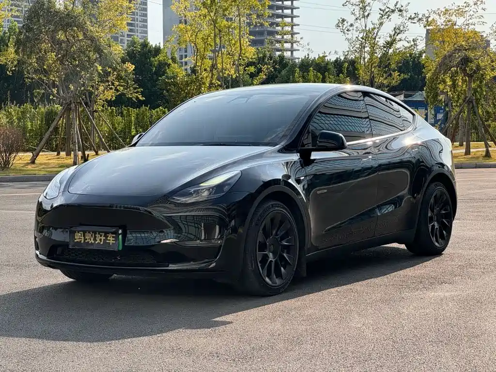 Tesla Model Y 2021 — фото 1