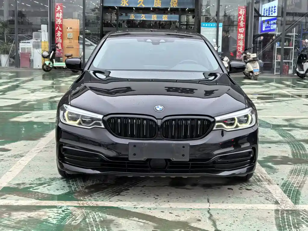 BMW 5 Series New Energy 2020 — фото 2