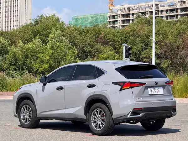 Lexus NX 2020