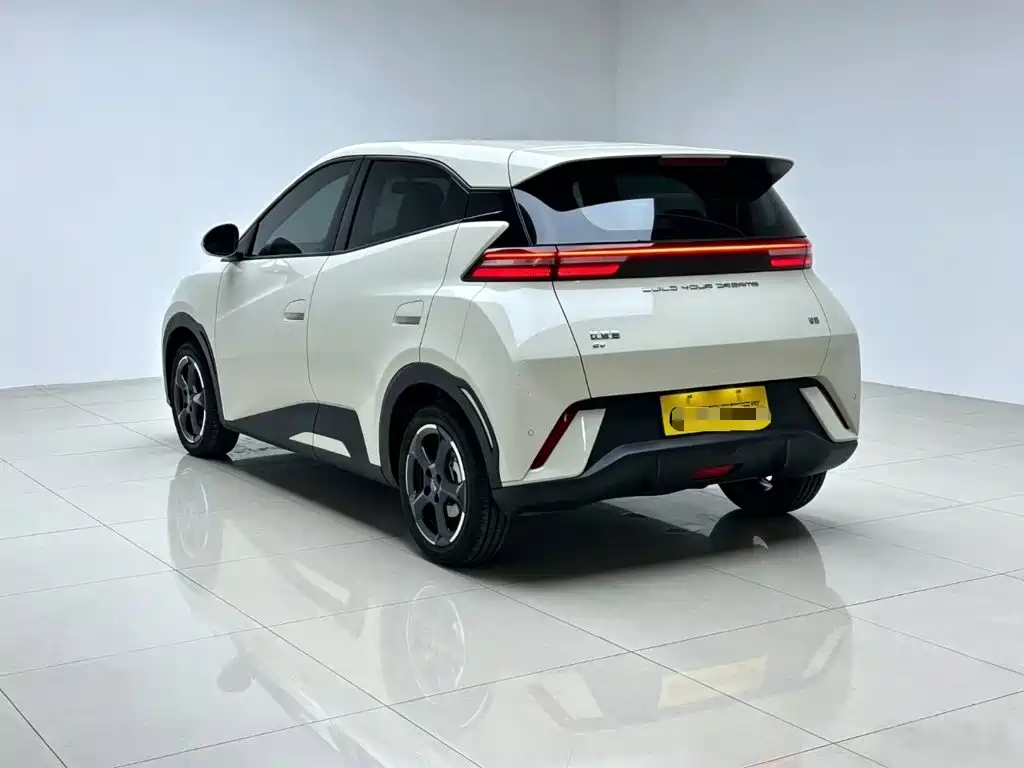 BYD Seagull 2024