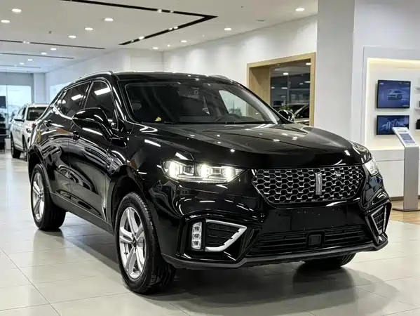 Wey VV5 2019