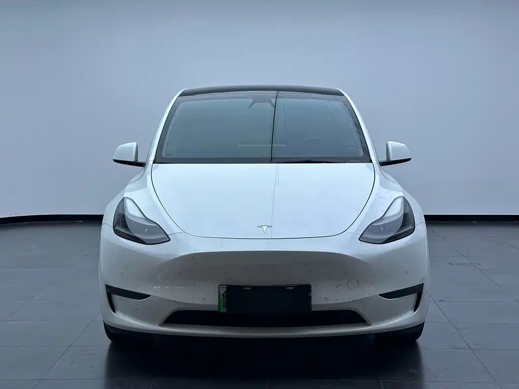 Tesla Model Y 2021 — фото 2