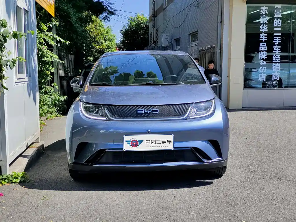 BYD Dolphin 2024