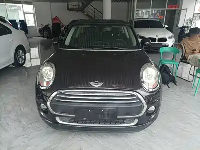 MINI MINI 2015