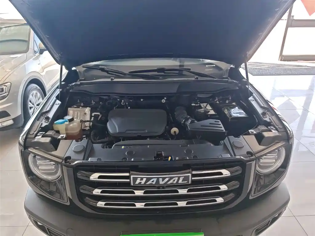 Haval Big Dog 2023 — фото 20