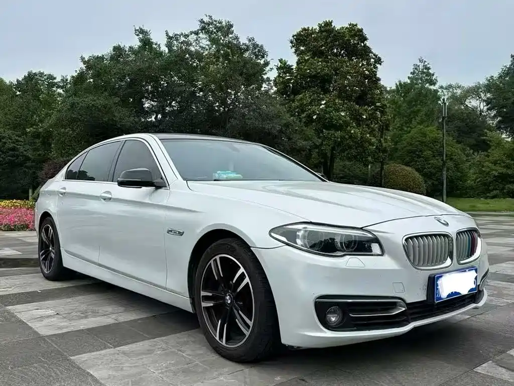 BMW 5 Series 2014 — фото 1