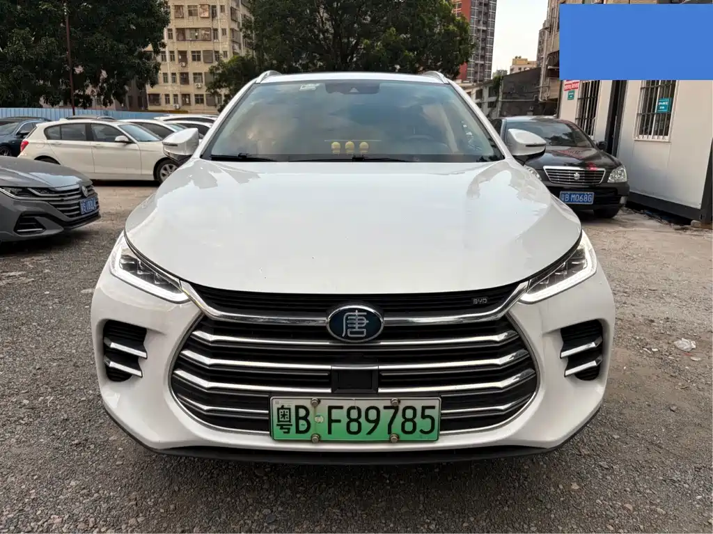 BYD Tang New Energy 2018 — фото 2