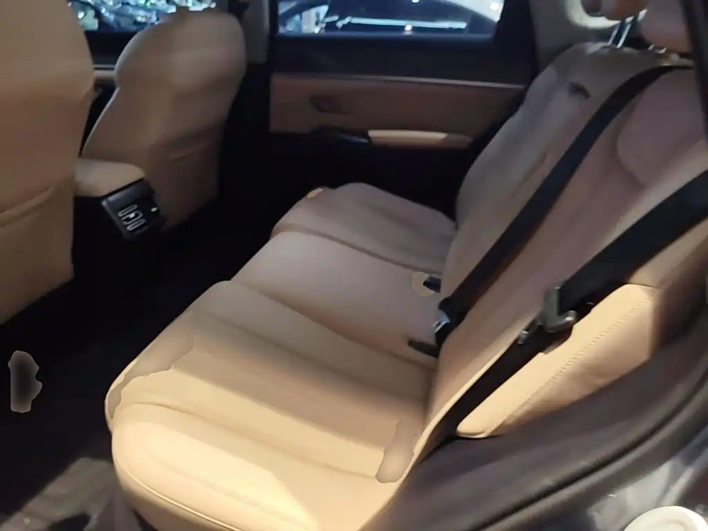 BYD Song Pro New Energy 2025 — фото 17