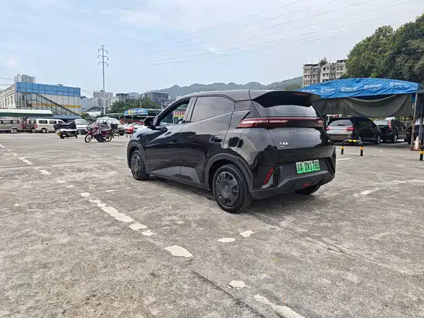 BYD Seagull 2024