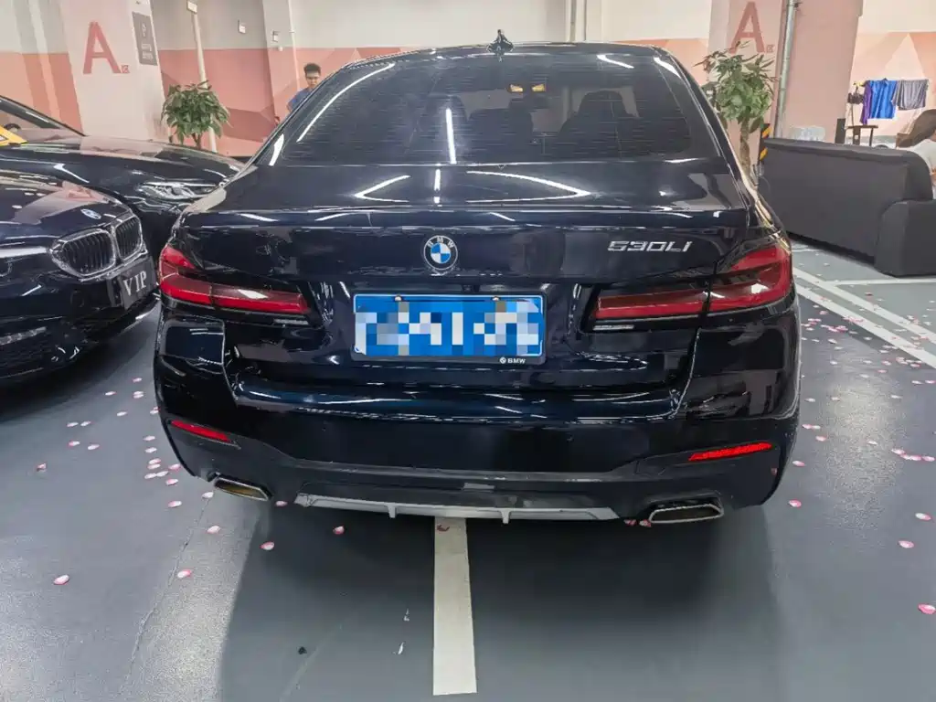 BMW 5 Series 2022