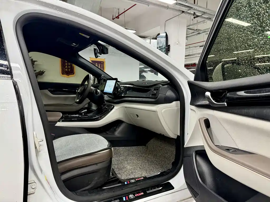 BYD Qin PLUS 2024 — фото 11