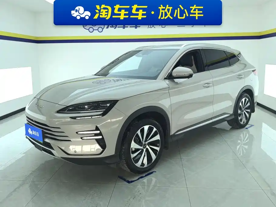 BYD Song PLUS New Energy 2024 — фото 1