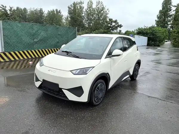 BYD Seagull 2026