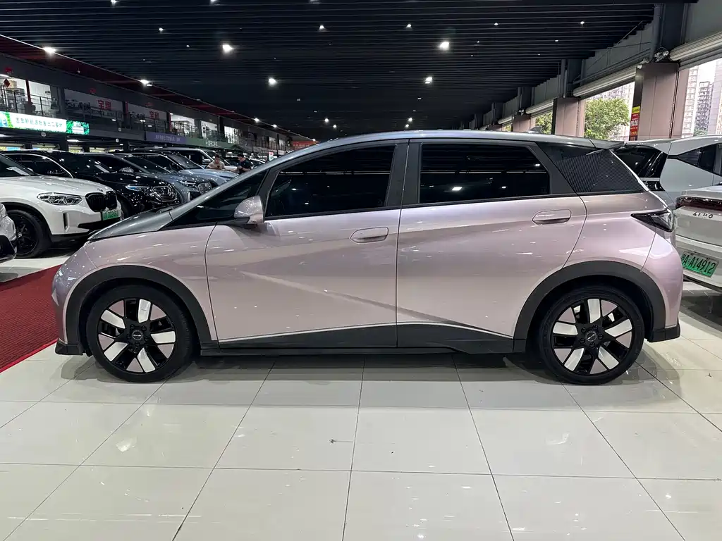 BYD Dolphin 2021